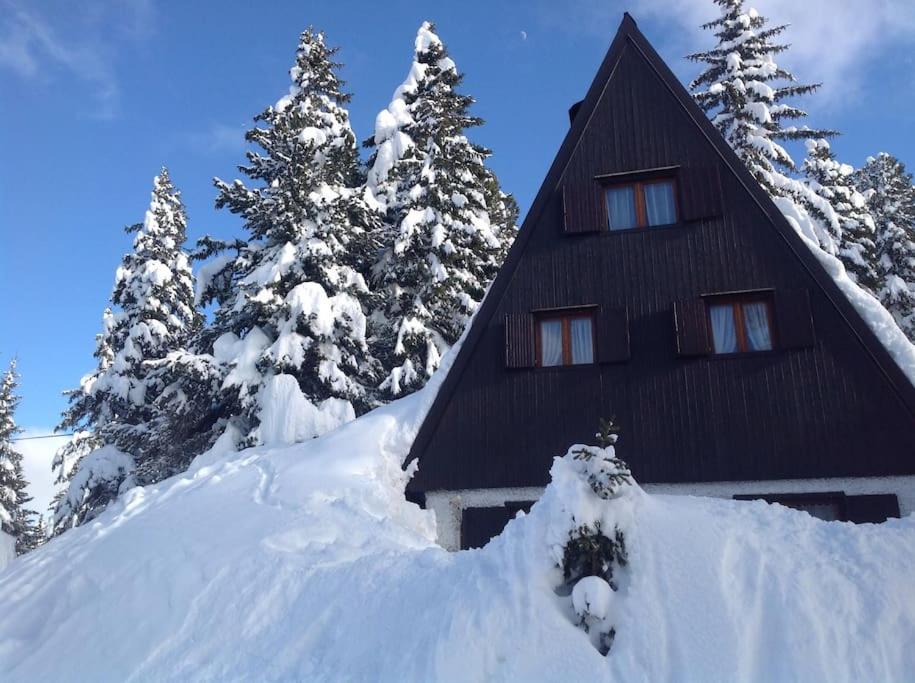 a house covered in snow in front of trees at Baita Giggia sulle piste - Cavalese in Trentino Alto Adige cottage chalet in Cavalese