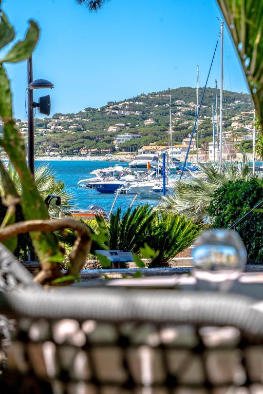 a view of a harbor with boats in the water at Hotel Les Palmiers in Sainte-Maxime
