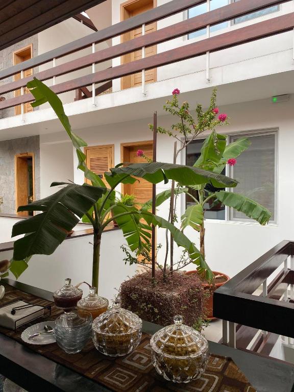 Fotografie z fotogalerie ubytování Hotel Viajante v destinaci Tarrafal