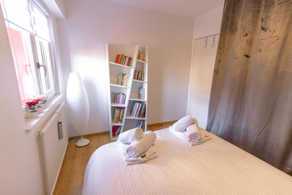 Le gîte de Sabina - Colmar – photo 25