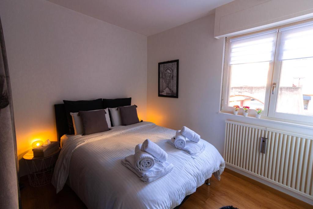 Le gîte de Sabina - Colmar – photo 24