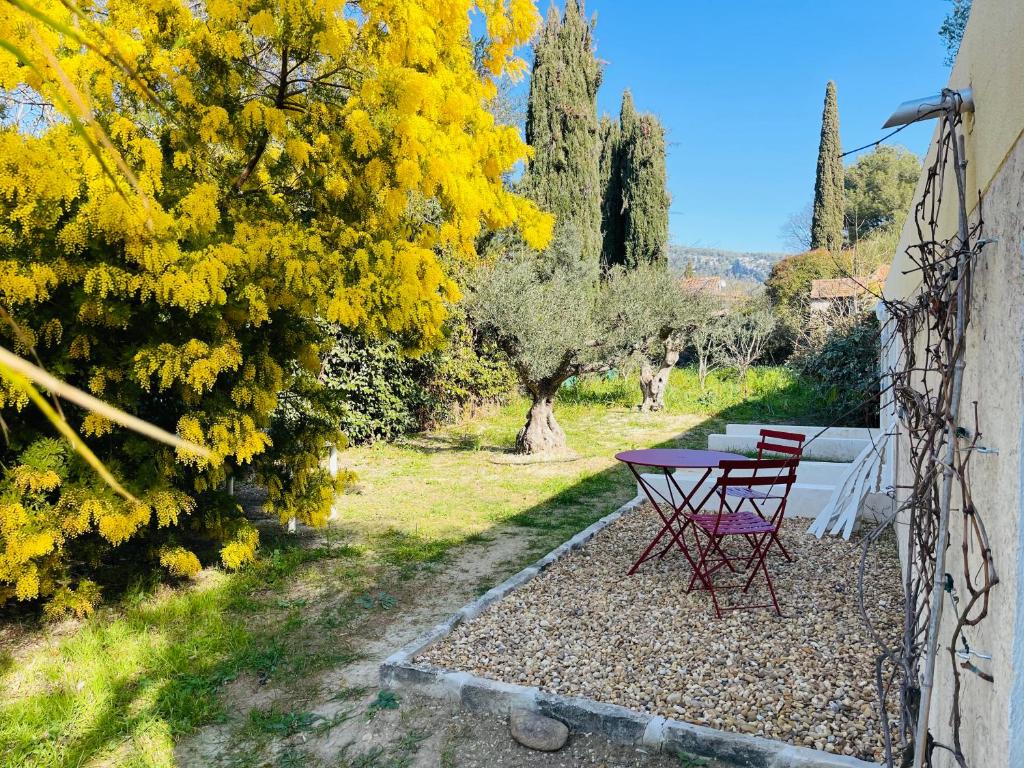 Vonkajšia záhrada v ubytovaní L'ATELIER - Piscine - Dans les vignes - Cassis