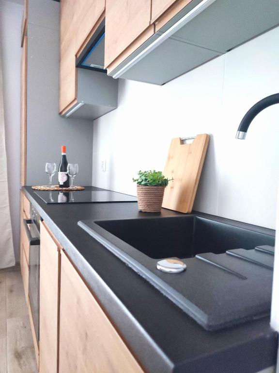 Kuchyňa alebo kuchynka v ubytovaní Apartament DanHouse