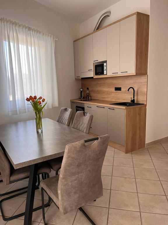 kuchnia ze stołem, krzesłami i zlewem w obiekcie Apartment Oleander w Bol