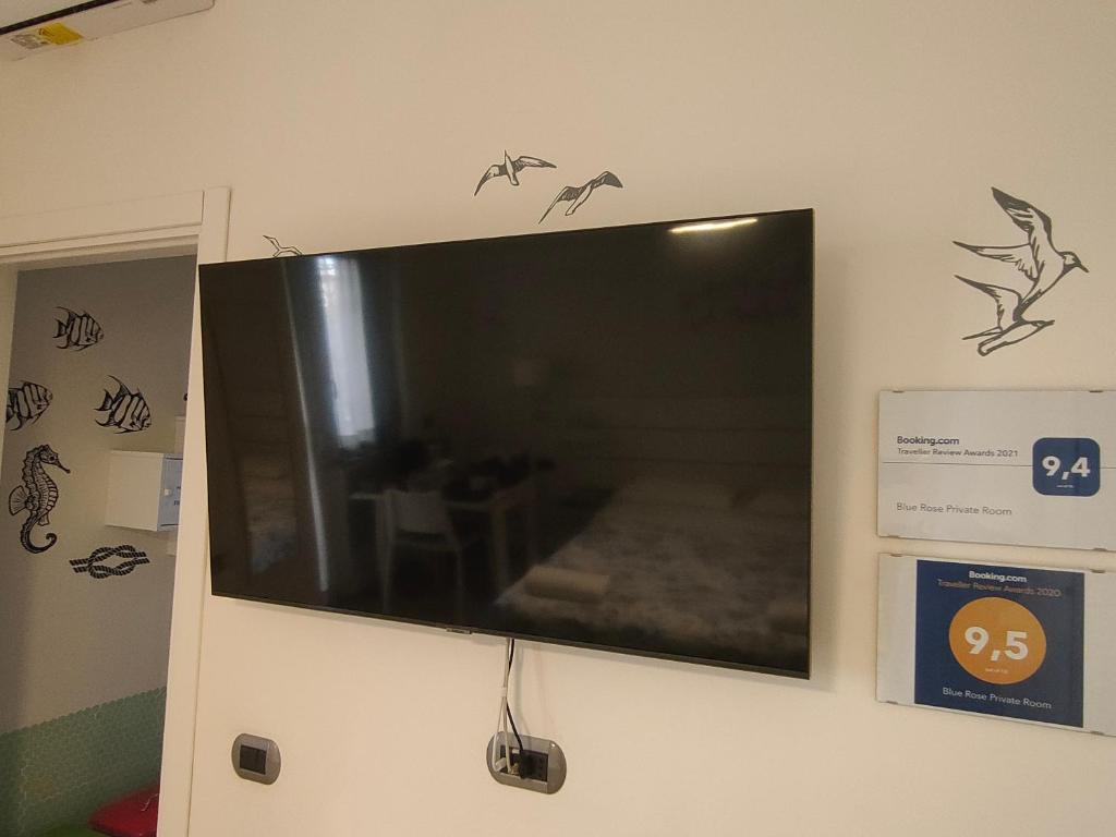 Televízia a/alebo spoločenská miestnosť v ubytovaní Blue Rose Private Room