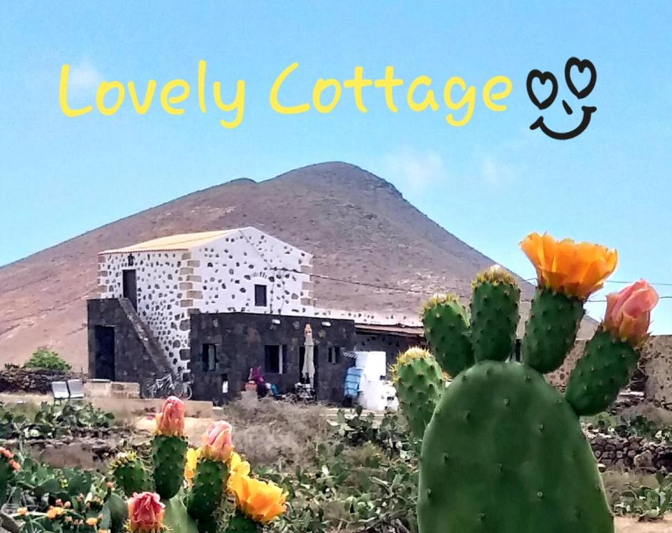 un cactus frente a una casa con una montaña en Lovely Cottage, en La Oliva