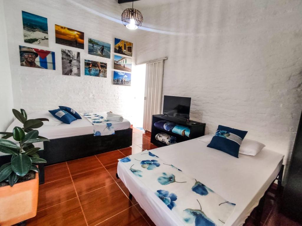 um quarto com duas camas e uma planta nele em Melao Hostel Campestre y Vivero em Palmira