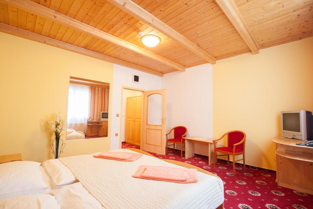 TV a/nebo společenská místnost v ubytování Sport-V-Hotel