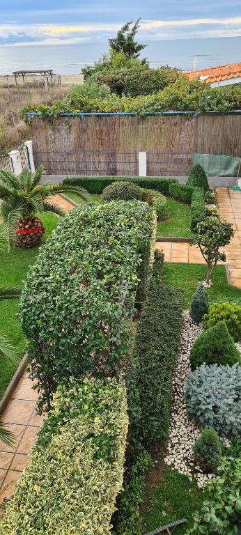 A garden outside Villa Avdira
