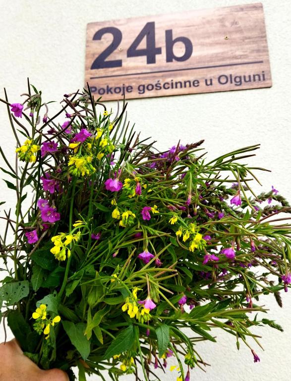 Fotografie z fotogalerie ubytování Pokoje goscinne u Olguni v destinaci Chyrowa