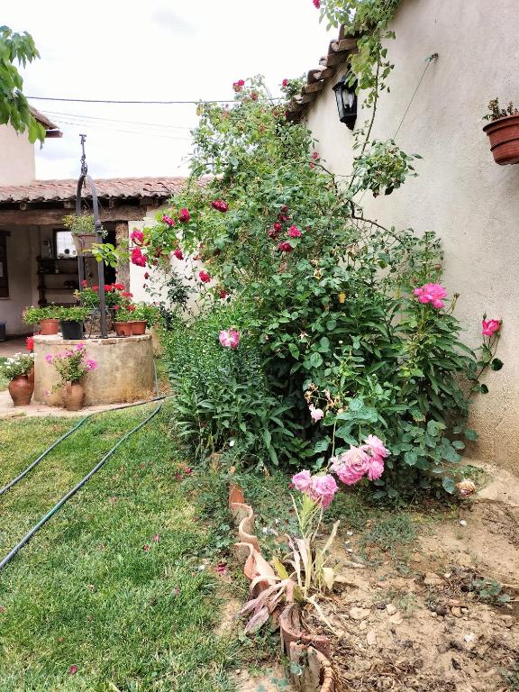 Zahrada ubytování Albergue Don Camino