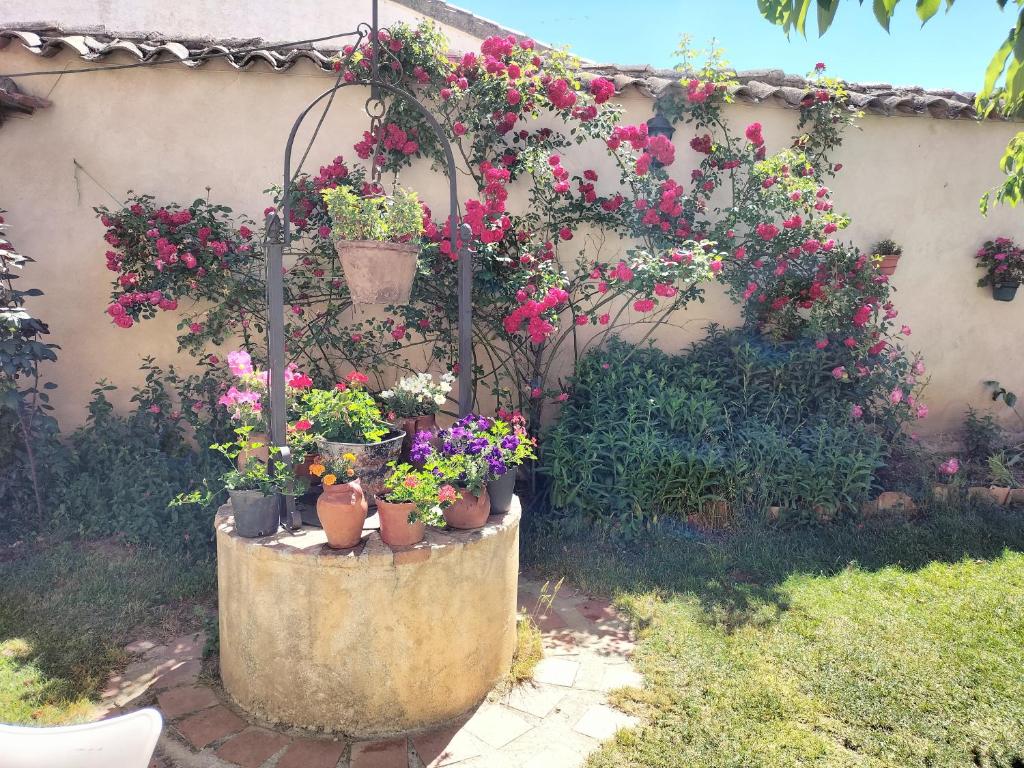 Zahrada ubytování Albergue Don Camino