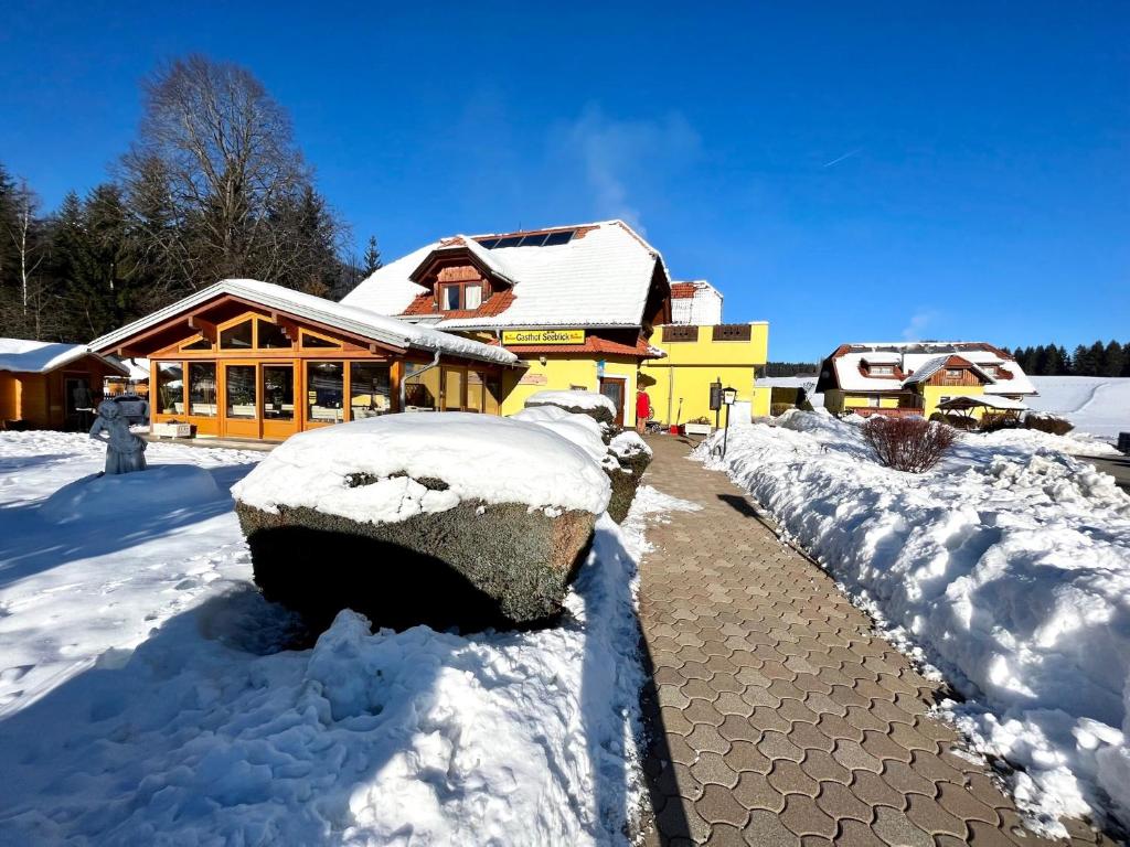 Hotel Gasthof Seeblick v zimě