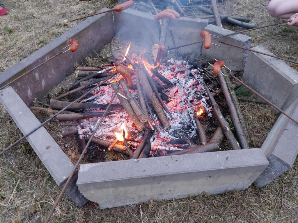 Eko Dworek tylko 1500m do wejścia Energylandii - 13