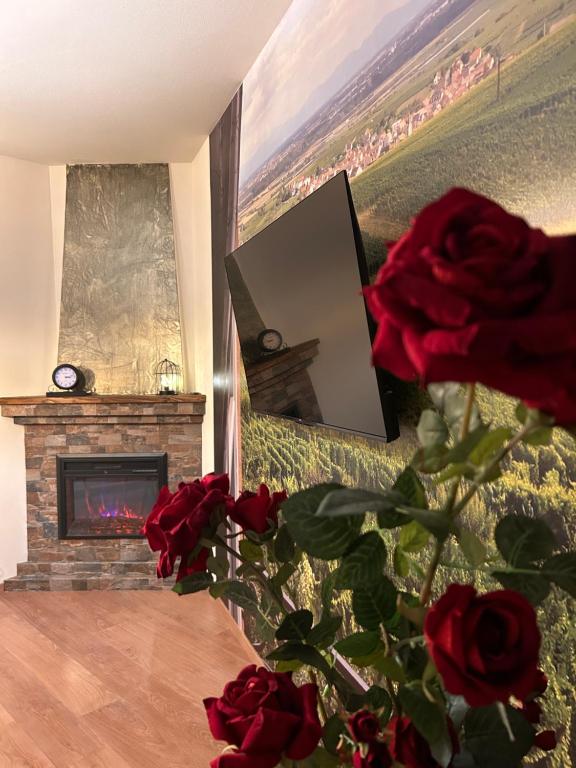 Esprit ALSACE: 70m2 de charme – photo 14