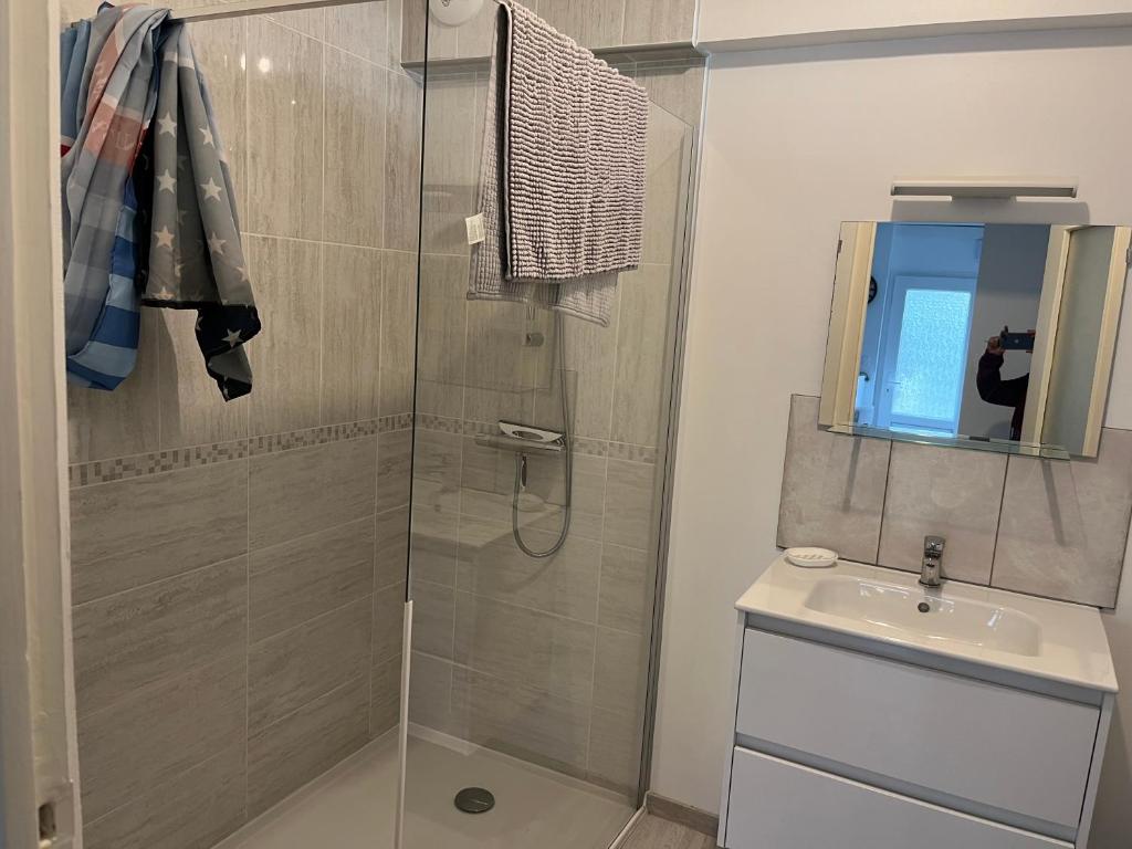 a bathroom with a shower and a sink at Logement neuf en face de la forêt. Accès cour. in Bagnoles de l&#39;Orne