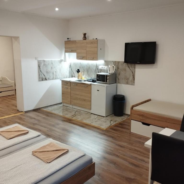 Kuchyň nebo kuchyňský kout v ubytování Apartmány 77