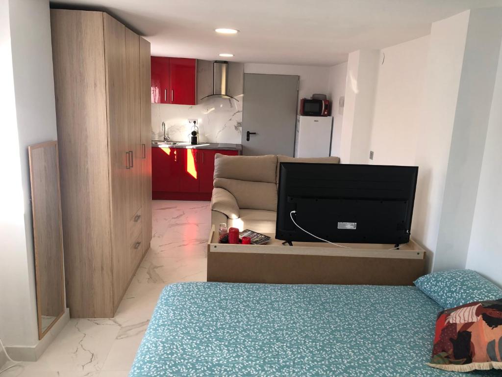 ein Wohnzimmer mit einem TV und einem Sofa in der Unterkunft Apto. BLAIA in Irún