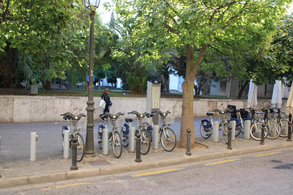 Jízda na kole v ubytování HotSpot Valencia nebo okolí