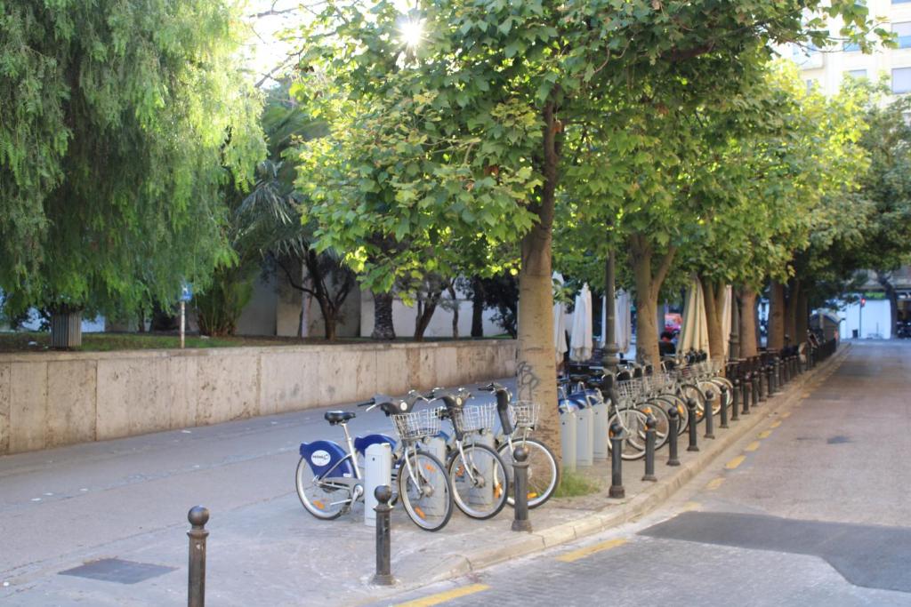Jízda na kole v ubytování HotSpot Valencia nebo okolí