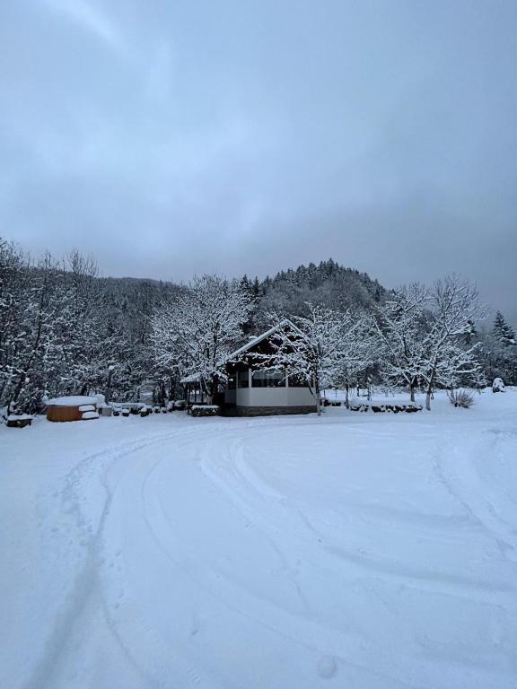 Biniște -Tiny House by the river - Chalet Con Tre Camere Da Letto