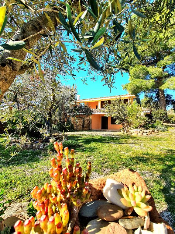 Villa Alice Apartments