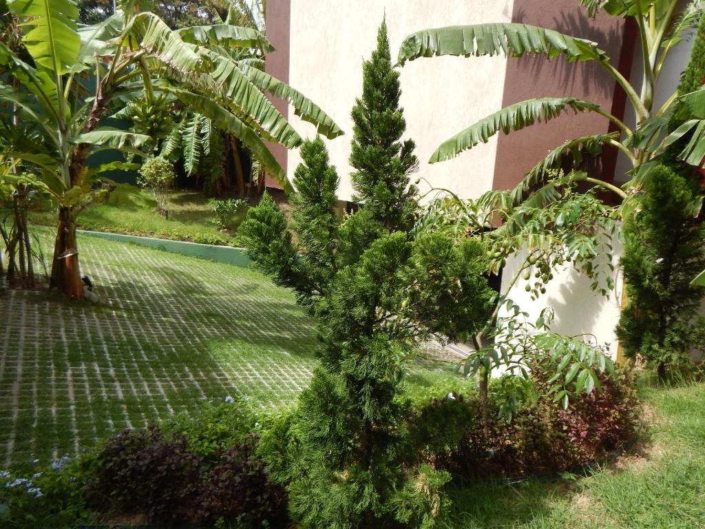 Matisse Comfort Suítes (Adults Only)  Matisse Comfort Suítes (Adults Only)