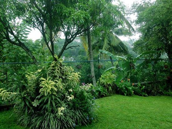 Zahrada ubytování Kandy Moon Hills Hotel
