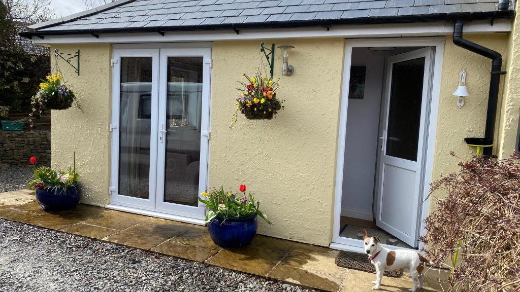 a dog standing in front of a house with flower pots at Mole End in Withypool