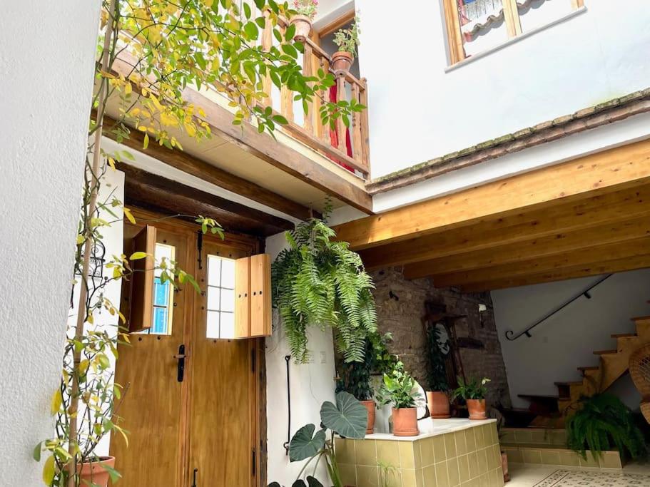 una casa con una puerta de madera y algunas plantas en Apartamento en Casa Patio "Pan y Conejo", en Córdoba