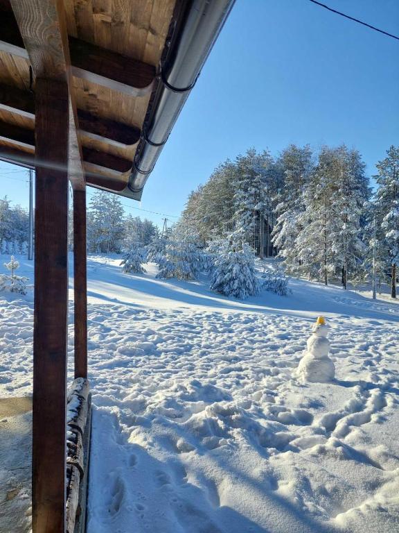 Apartmani Hanna tokom zime