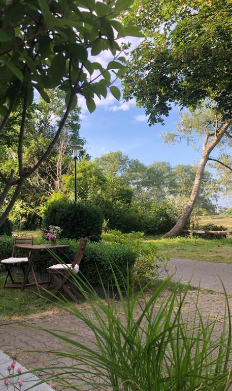 a picnic table and a bench in a park at GRÜNBLAU RELAX Pension & Apartments in Warnemünde