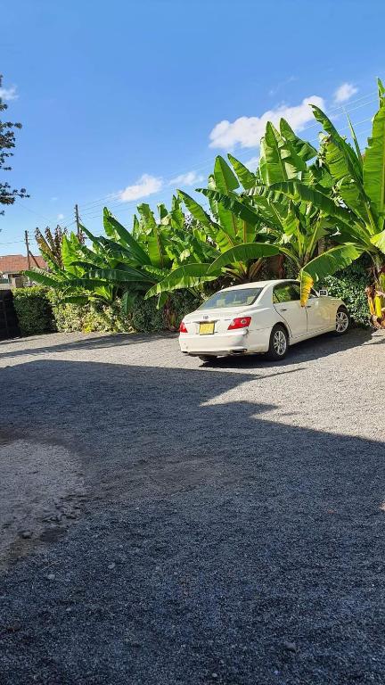 Fotografie z fotogalerie ubytování Homebase gardens kiamunyi v destinaci Nakuru
