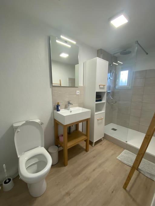 Kúpeľňa v ubytovaní Studio n3 avec place de parking gratuite