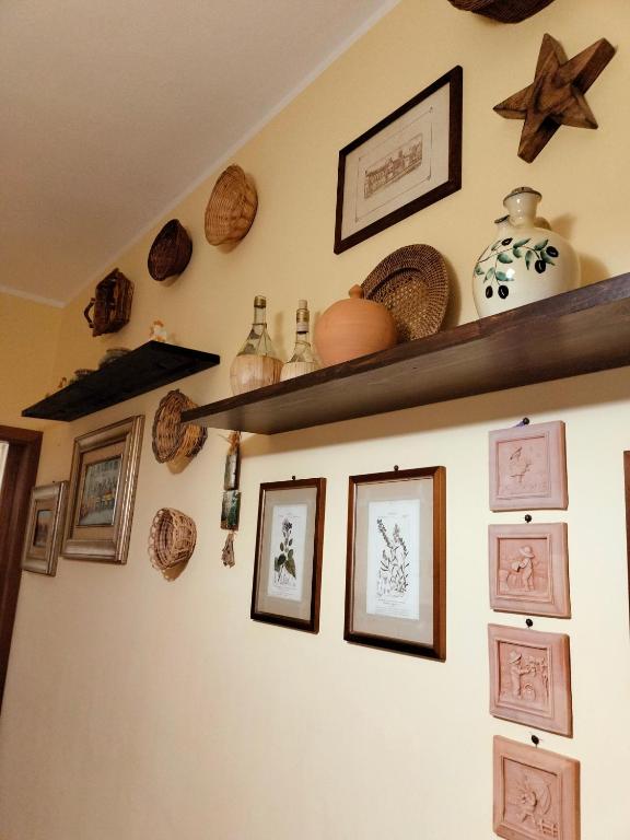 Фотография из галереи Sunnyside Accademia в Ливорно