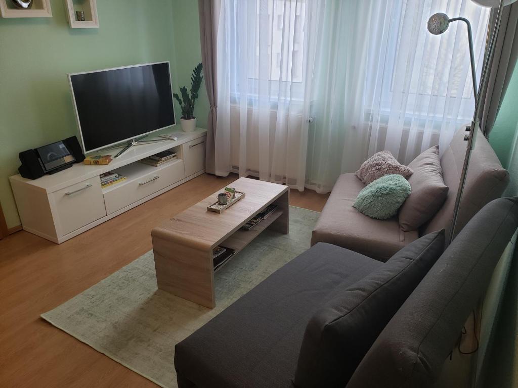 a living room with a couch and a tv at Ferienapartements Girrbach in Dresden