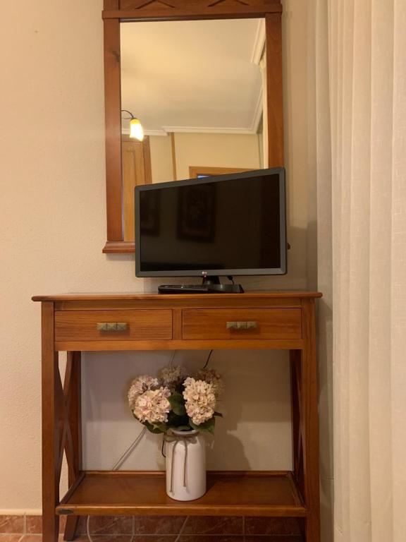TV a/nebo společenská místnost v ubytování DC Mesones 21