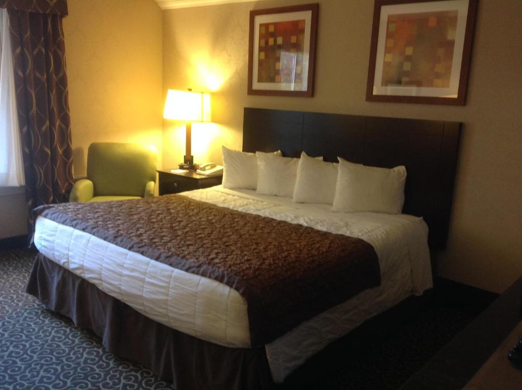 Hawthorn Extended Stay by Wyndham El Paso - King Room - Non Fumatori
