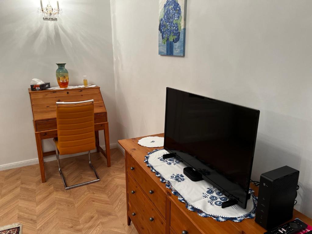 A television and/or entertainment centre at S&E Apartments Vienna