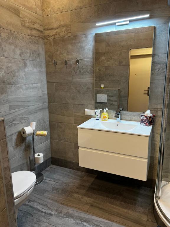 A bathroom at S&E Apartments Vienna