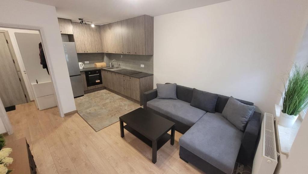 sala de estar con sofá y cocina en Apartament "Cztery Pory Roku", en Świdnik