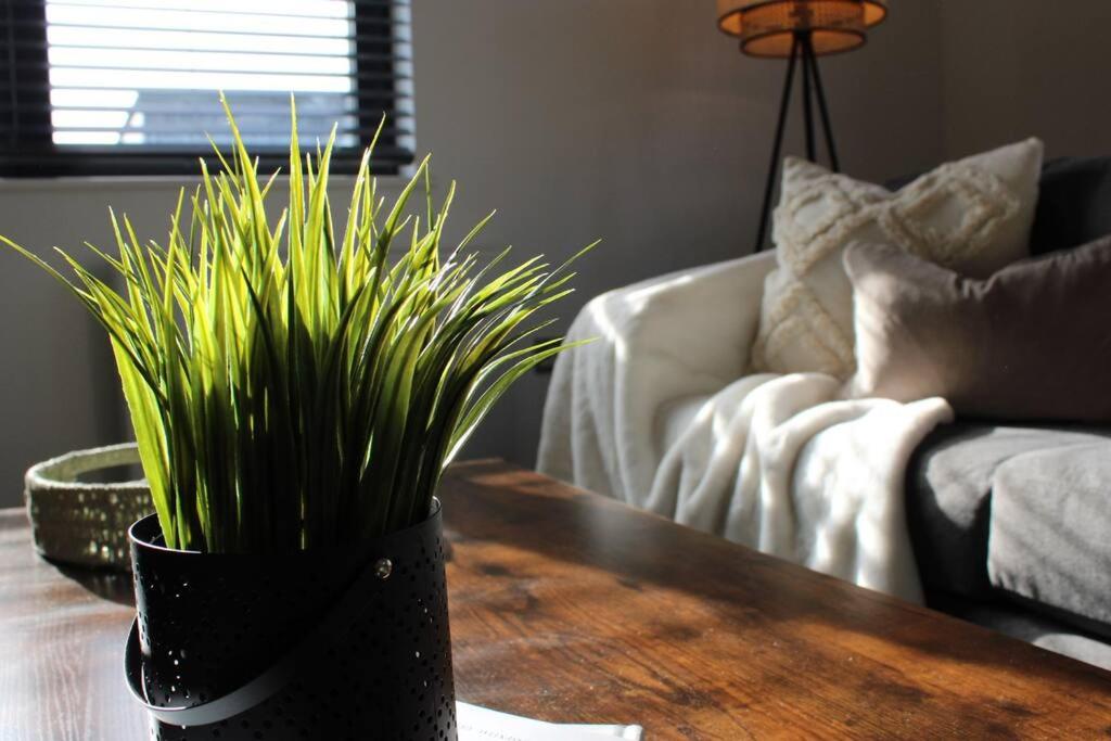 een zwarte vaas met een plant op een tafel in een woonkamer bij Beach Haven in Bournemouth