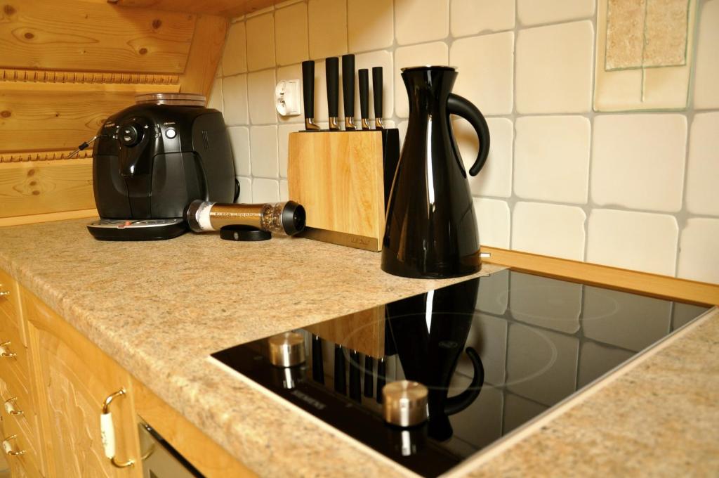 Kuchyňa alebo kuchynka v ubytovaní Apartament Widokowy i Wyjątkowy Kościelisko