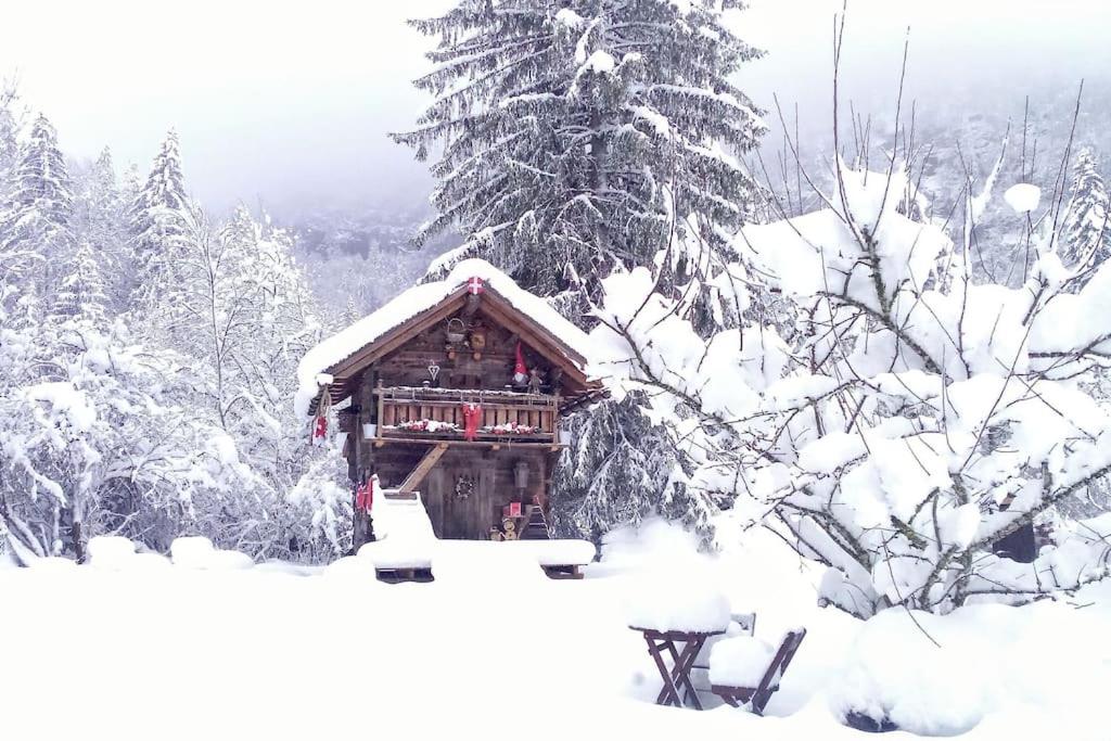 a snow covered cabin in the middle of a forest at Amour & Chocolat in Sixt