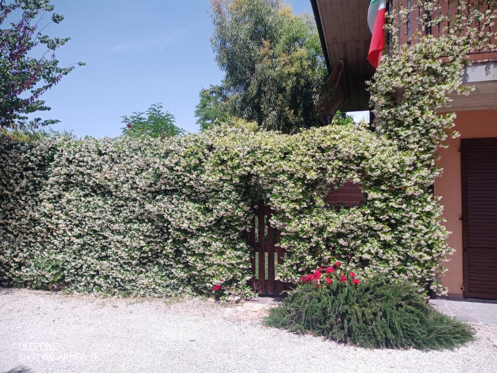 Ogród w obiekcie B&B La poeta