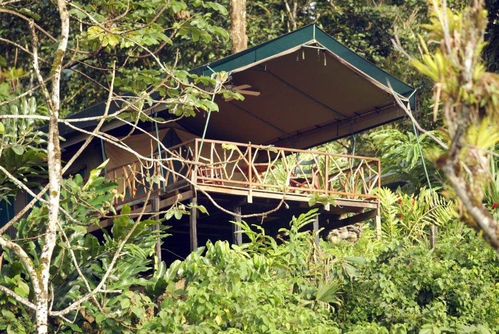 a tree house in the middle of a forest at Rafiki Safari Lodge in Savegre
