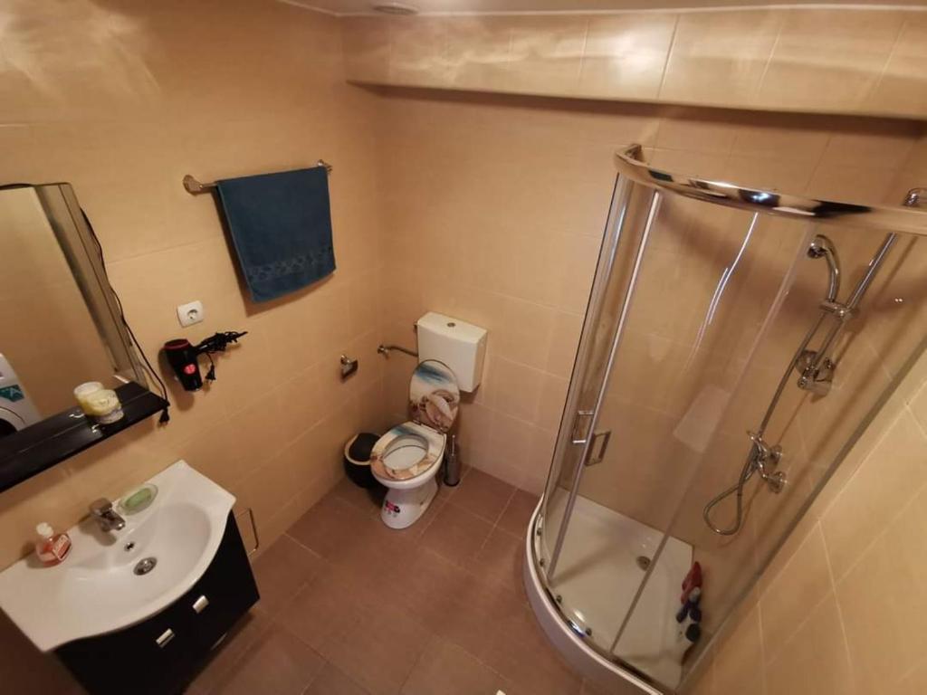 a bathroom with a shower and a toilet and a sink at Katarina Central House Predeal in Predeal
