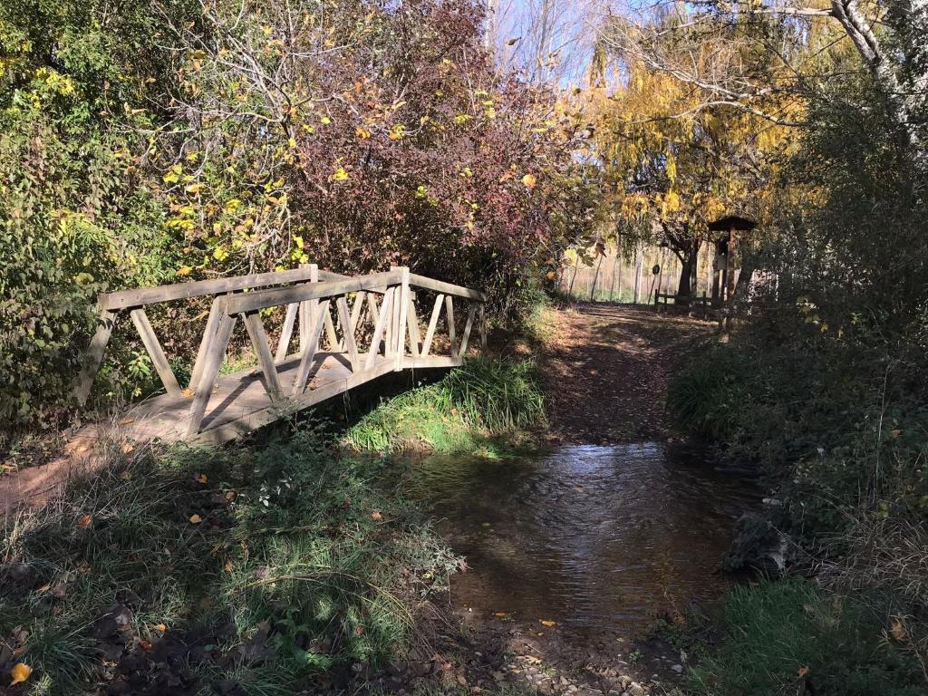 un puente de madera sobre un arroyo en un bosque en Casa Rural Hospital de las Palabras, en Torrelles