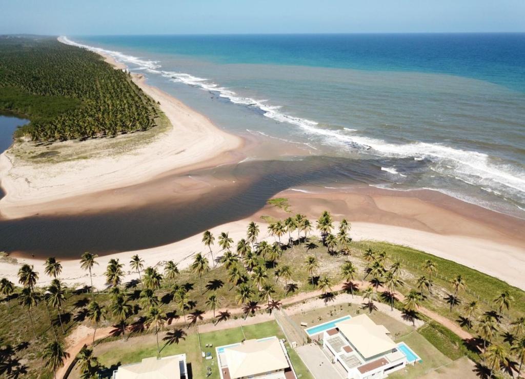 an aerial view of a beach with palm trees at Apto PDI na praia em Baixio in Baixio