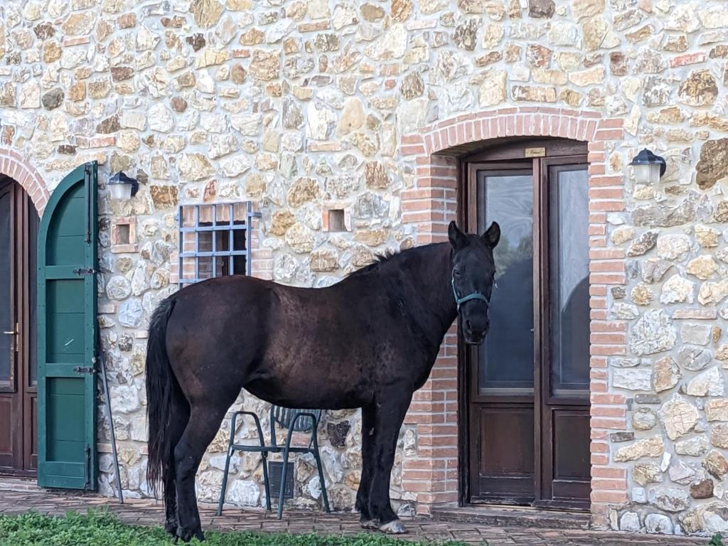 Fotografia z galérie ubytovania Agriturismo Fattoria di Statiano v destinácii Pomarance